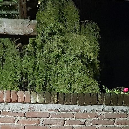 Az.Agr.Cascina Moretta Momo Esterno foto