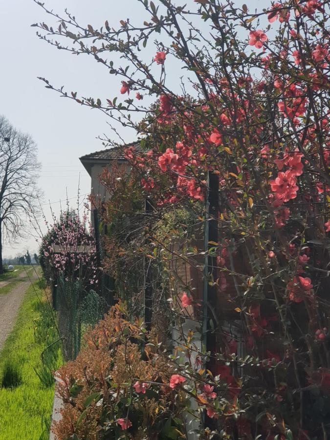 Az.Agr.Cascina Moretta Momo Esterno foto