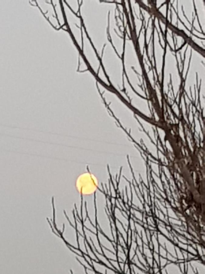 Az.Agr.Cascina Moretta Momo Esterno foto