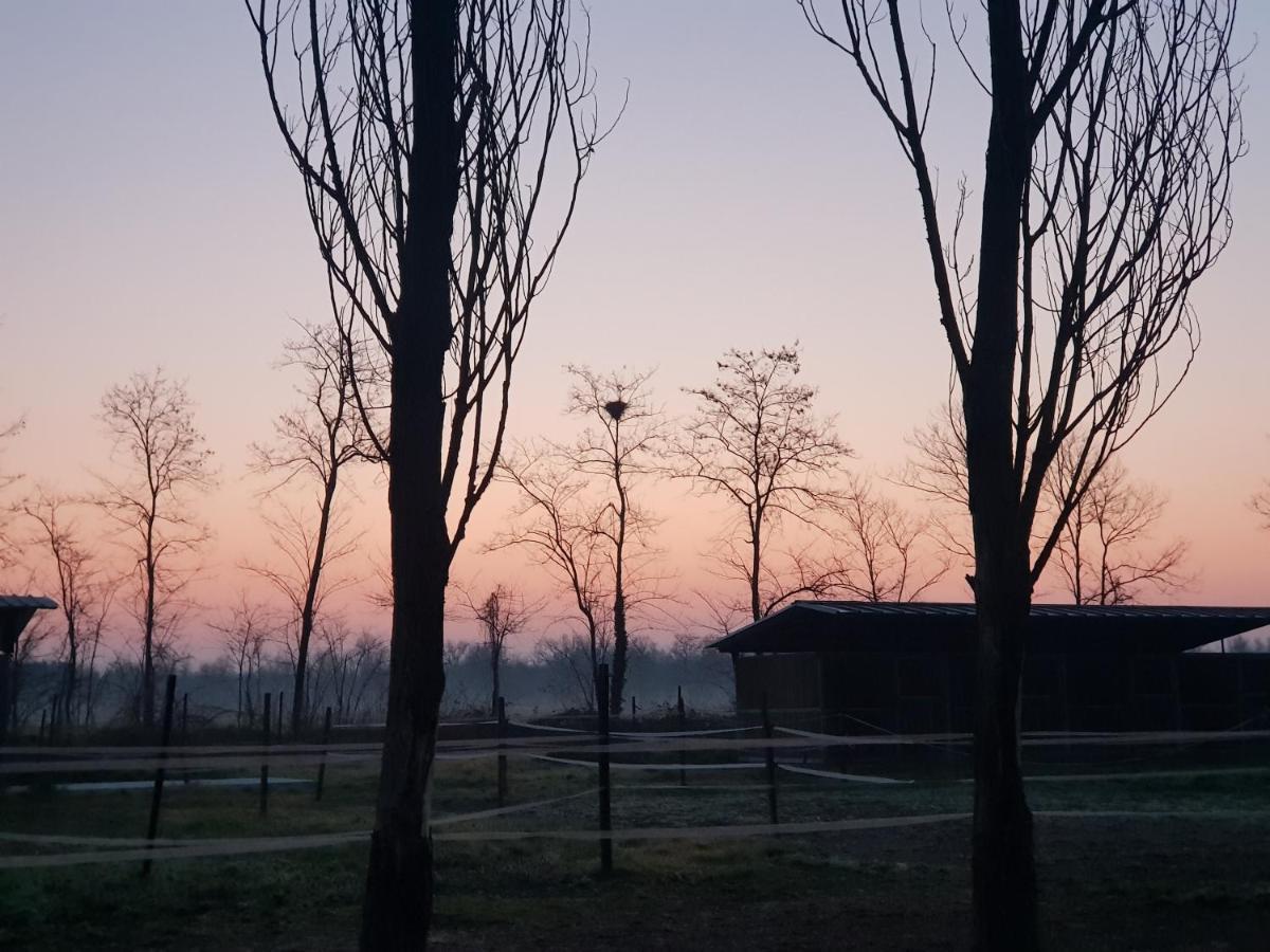 Az.Agr.Cascina Moretta Momo Esterno foto