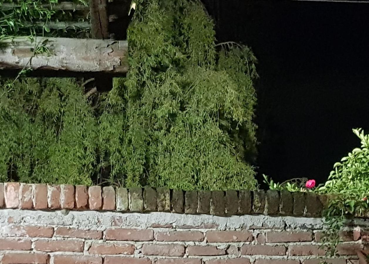 Az.Agr.Cascina Moretta Momo Esterno foto