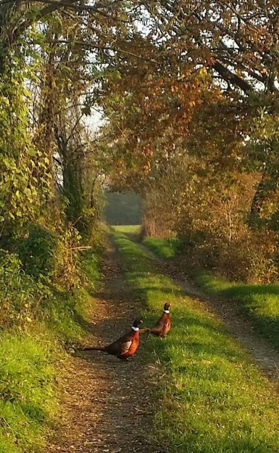 Az.Agr.Cascina Moretta Momo Esterno foto