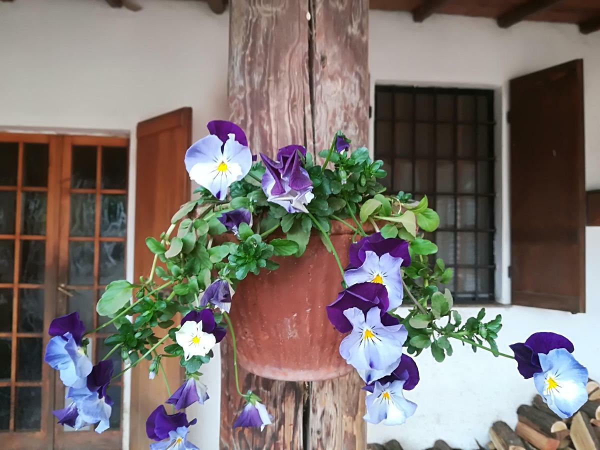 Az.Agr.Cascina Moretta Momo Esterno foto