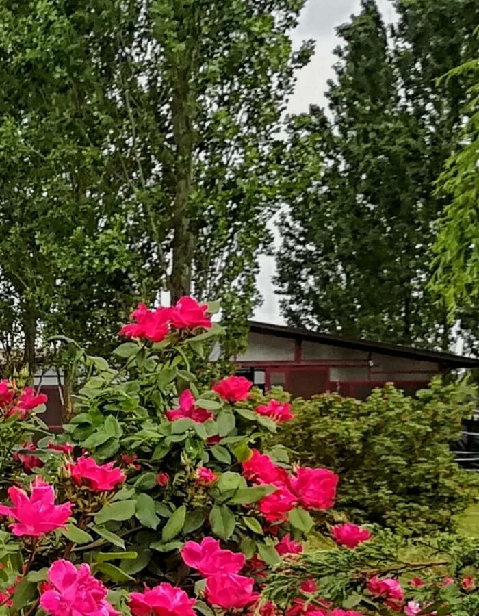 Az.Agr.Cascina Moretta Momo Esterno foto