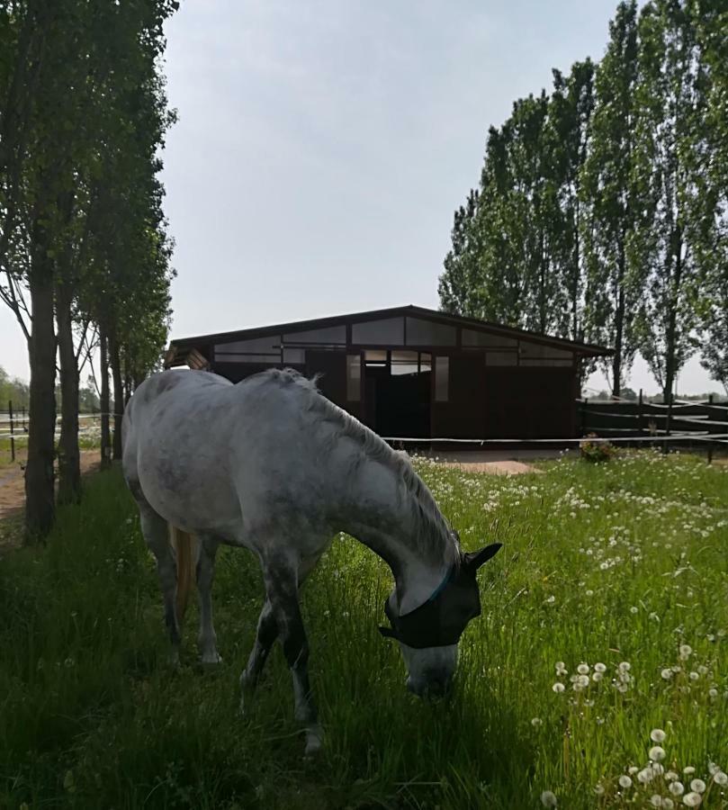 Az.Agr.Cascina Moretta Momo Esterno foto