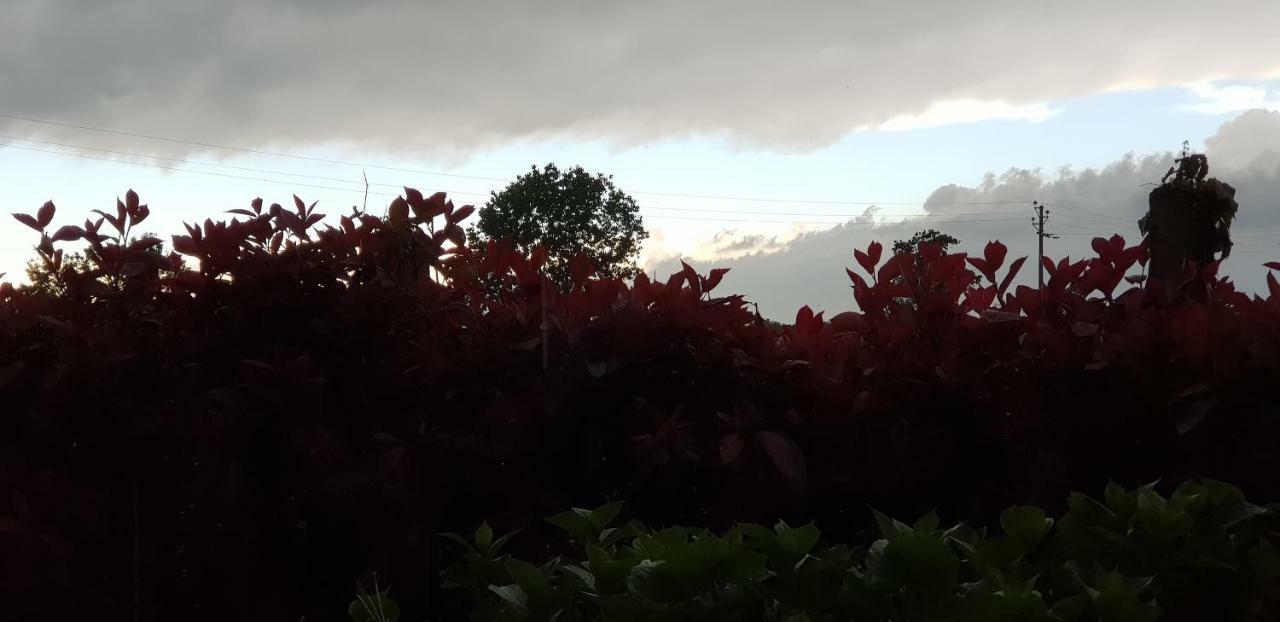 Az.Agr.Cascina Moretta Momo Esterno foto