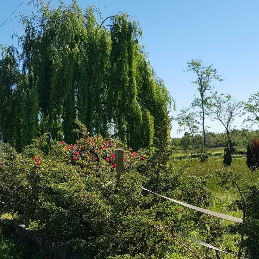 Az.Agr.Cascina Moretta Momo Esterno foto