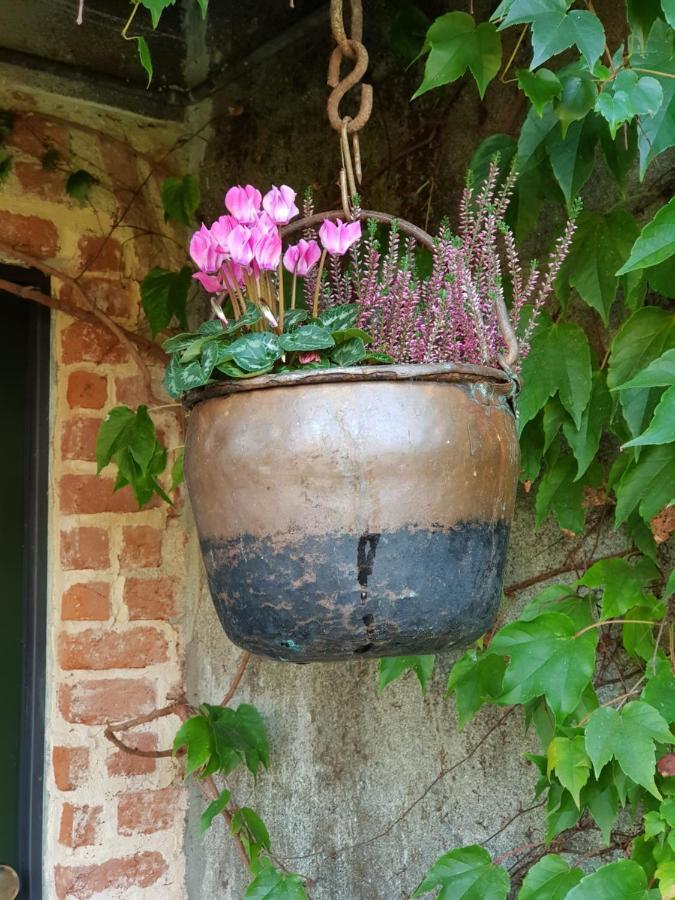 Az.Agr.Cascina Moretta Momo Esterno foto